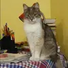Отзыв от Василиса Маслова